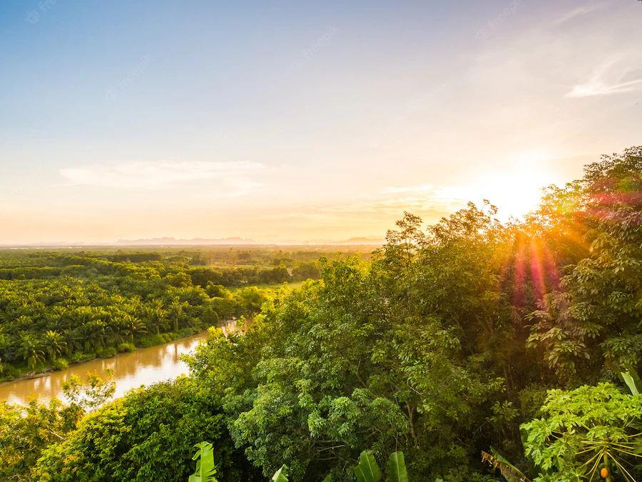 Conheça os jogos que são ambientados na Amazônia - Portal Amazônia