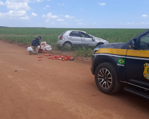 BAIXA NO TRÁFICO: PRF apreende quase 250 quilos de drogas na BR-101